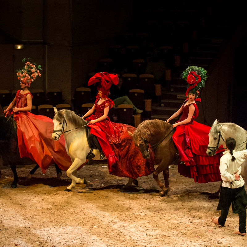 Château de Chantilly