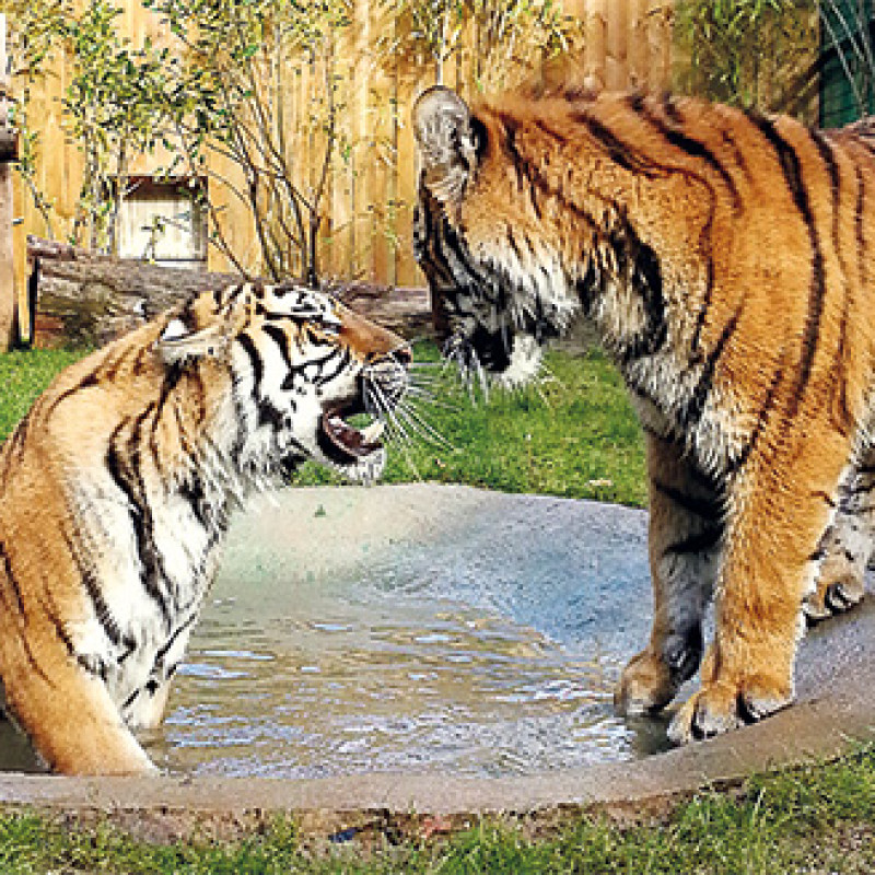 Parc animalier d'Amnéville