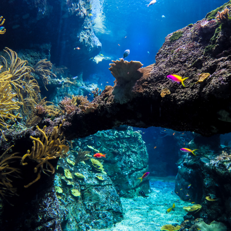 Aquarium De Biarritz