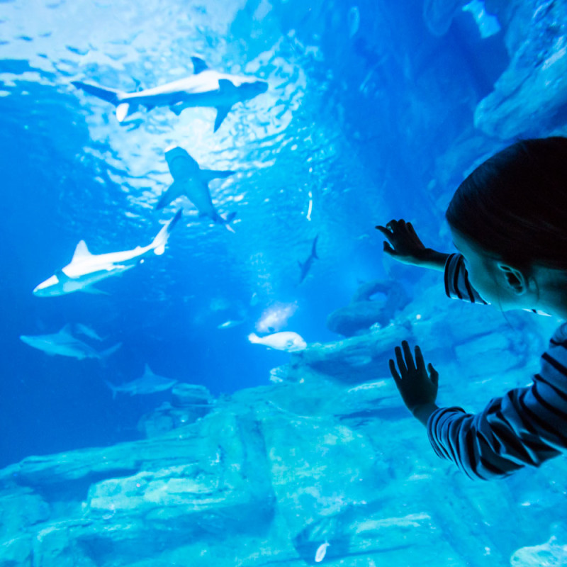 Aquarium de Paris - Cinéaqua