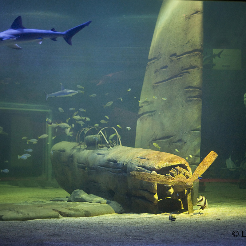 Seaquarium Le Grau du Roi