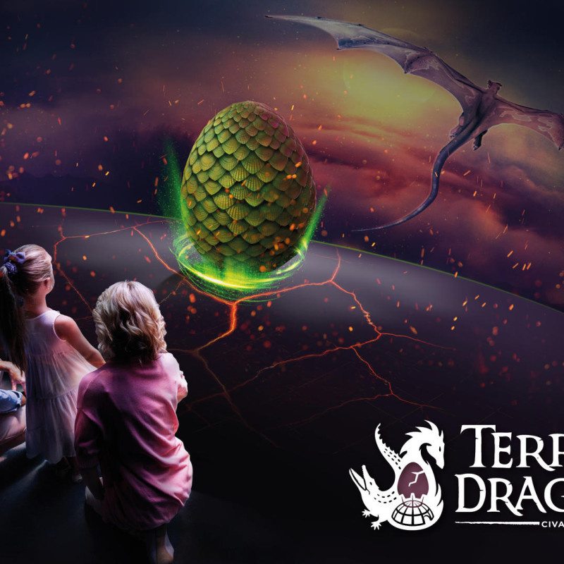 Terre de Dragons