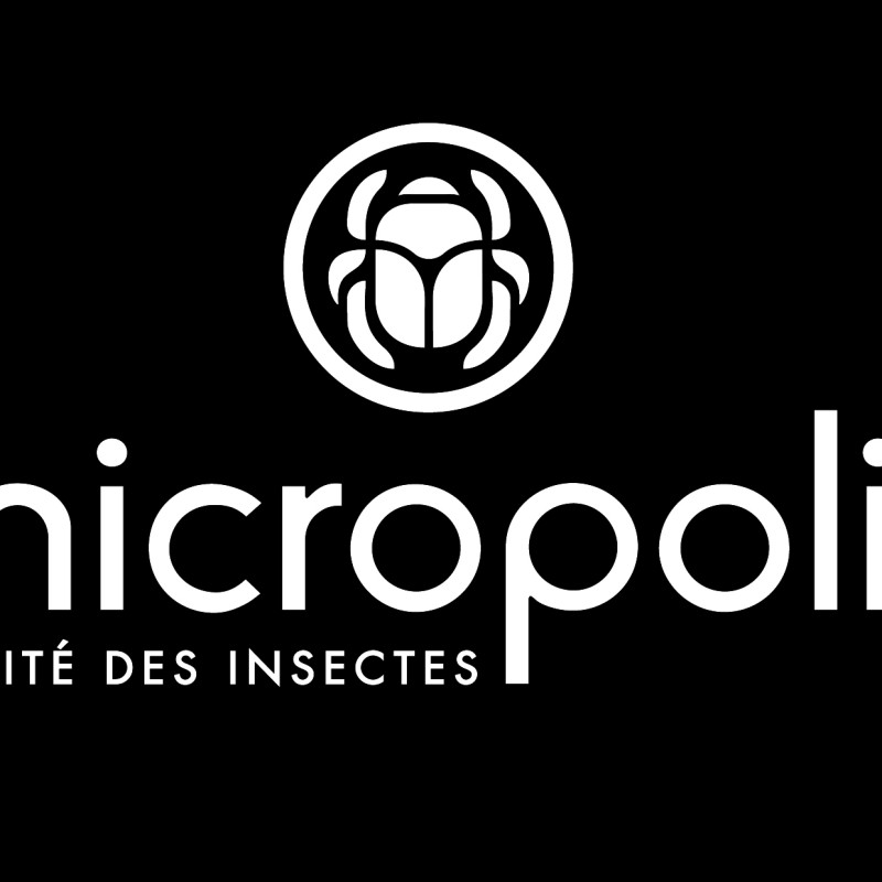 Micropolis