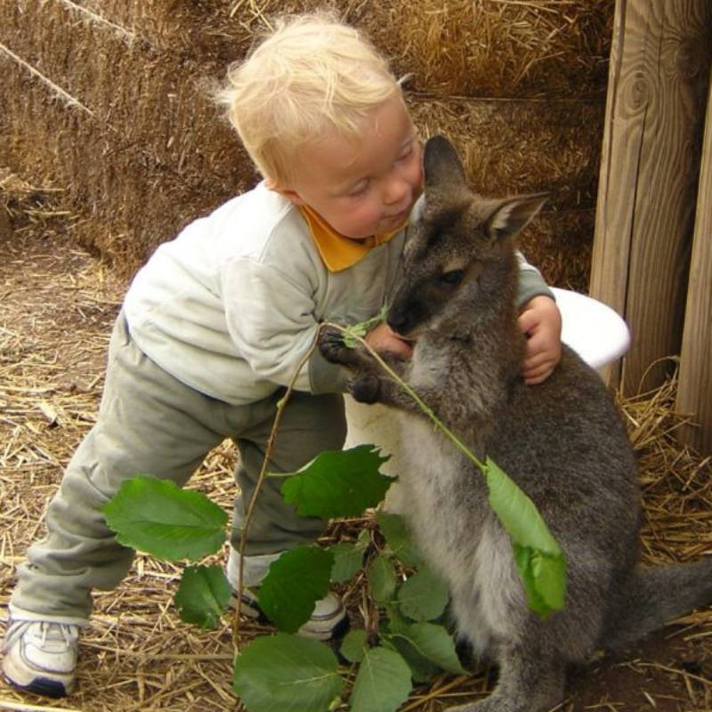 Parc Pédagogique de Myocastors St Nectaire